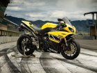 2011 Yamaha YZF 1000 R1 Roberts Replica